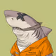 SHARK