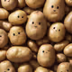 Veggie