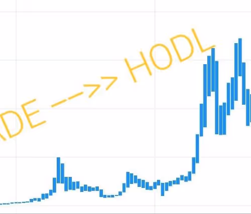 HODL Station
