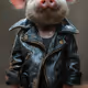 pig
