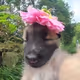 Summer vibes