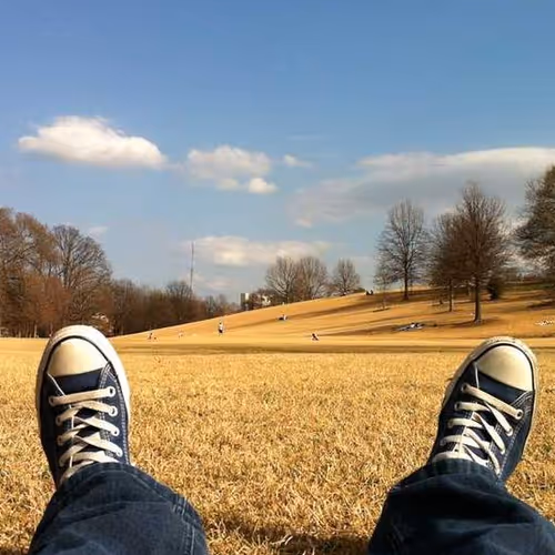 Photos Permissions Handy