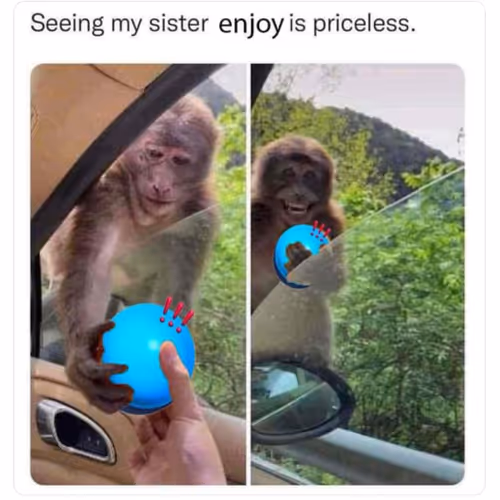 Let Enjoy this Collection