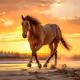 Majestic Walk at Sunset