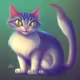 Zora cat