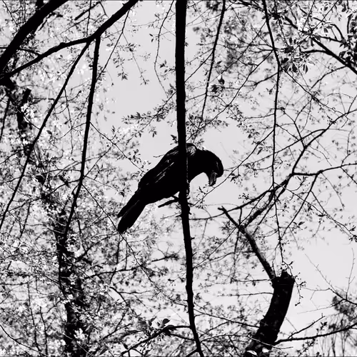 90 days to bury myself