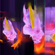 Absorption