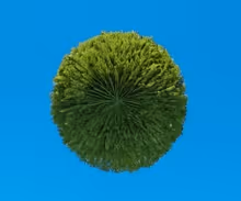 Zorb