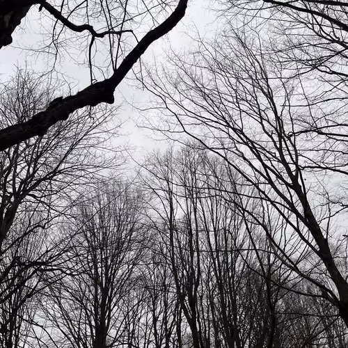 photo_xx_xx_xxxx