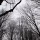 photo_xx_xx_xxxx