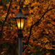 Autumn Glow