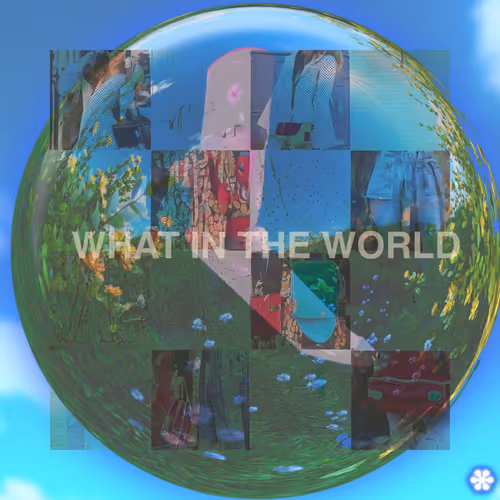 what in the WORLD Are We Doing?!