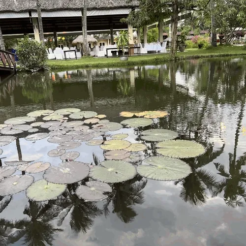 Viet Nam - Binh Quoi