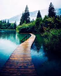 bridge