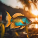 Golden Fish
