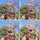 Smile Cat