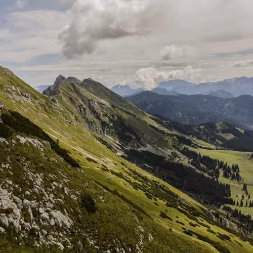 Favorites Tennessee Riders