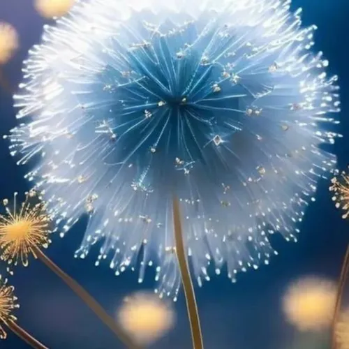 0xce19c23c443585c6fda53011038bd5968dd23476