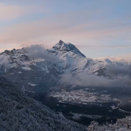 Tutorials Expect Growing