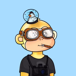 Aptos monkey
