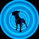 DOGSONG