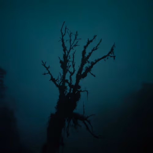 I took a short video