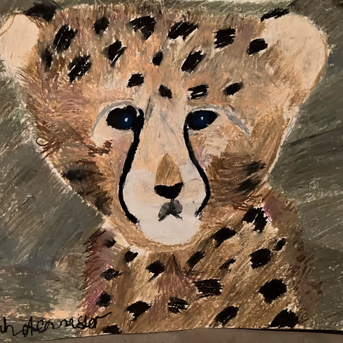 Little Hannah's Heros