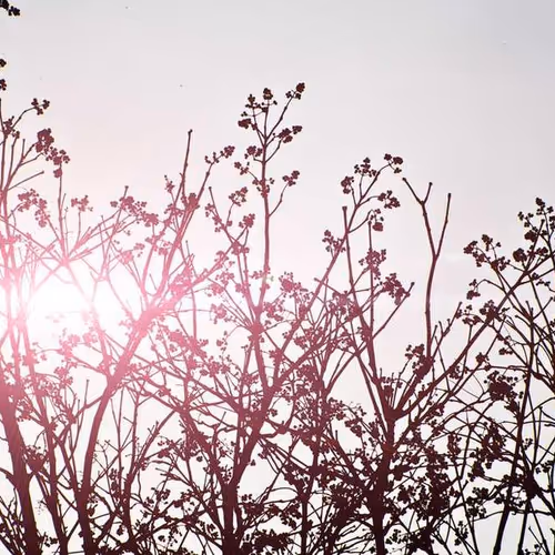 Framing Perth Equipment