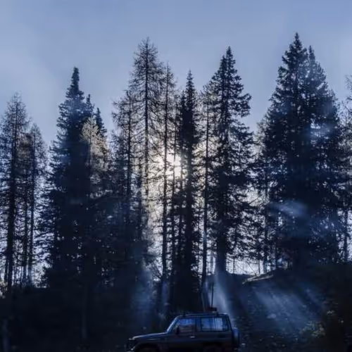 Fiction However Diesel