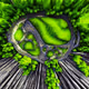Toxic Forest