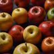 fruits