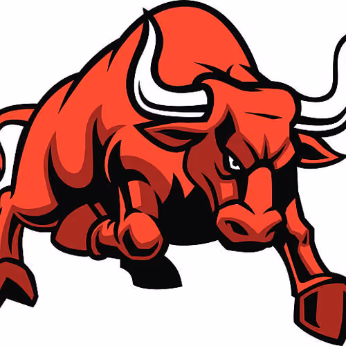 bull