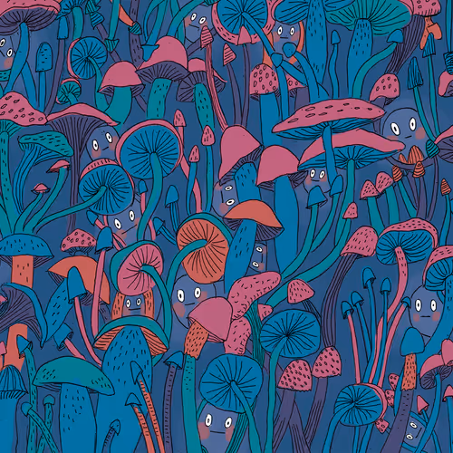 HIDDEN