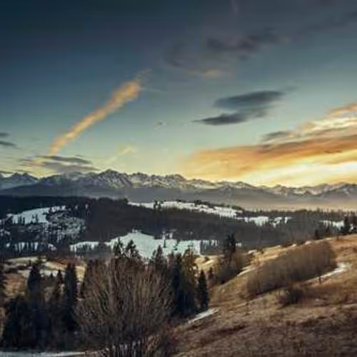 Xbox Bullet Affiliate