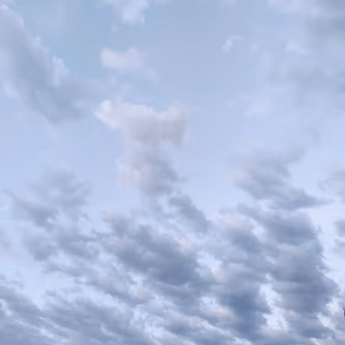 m.z.a