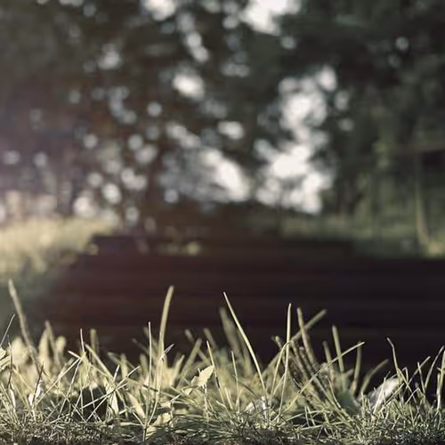 Midi