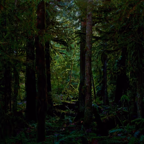 0xcdd13e3b4a35d26ea965b22a43e674daa8b9d14b