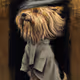 ''Goya's Dog''