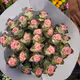 Pink Rupestri