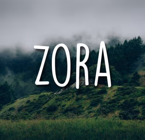 ZoraN