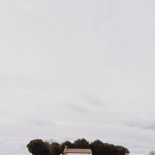 Genetic Grow Quarterly