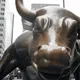 Bull on Zora