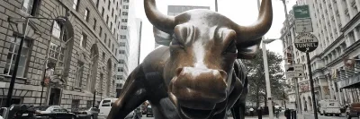Bull on Zora