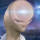 SMORT