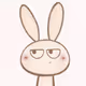 rabbit