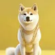 doge world
