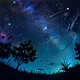 Fairy Night