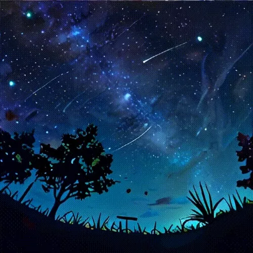 Fairy Night
