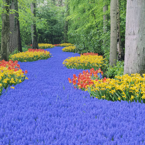 Zora Garden