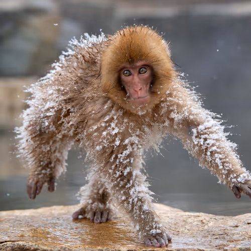 0x1b2e1f4622782dd6f806d5a44dea76bb769cac5c